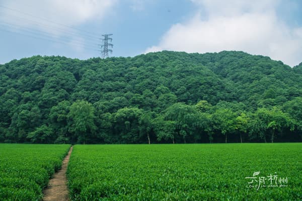 云栖竹径2026门票价格、游玩攻略