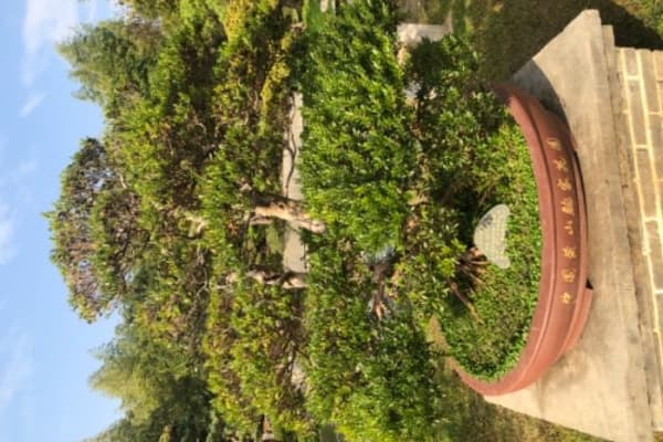 古徽州文化旅游区2026门票价格、游玩攻略