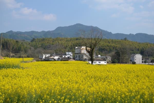塔川2026门票价格、游玩攻略