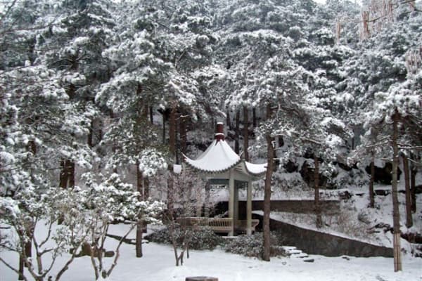 龙山景区2026门票价格、游玩攻略