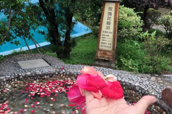 金孔雀温泉旅游度假村2026门票价格、游玩攻略