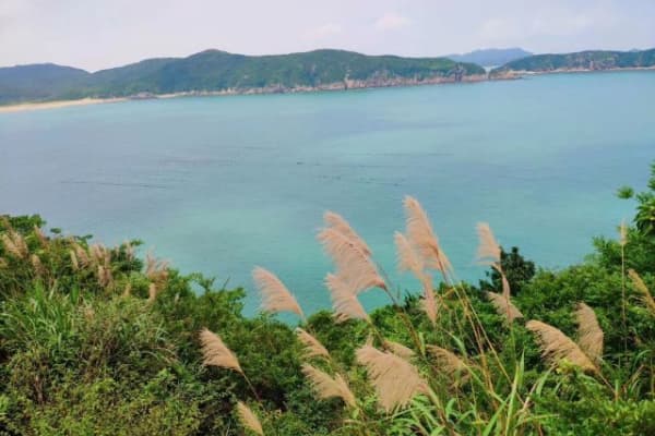 桃花岛风景区2026门票价格、游玩攻略