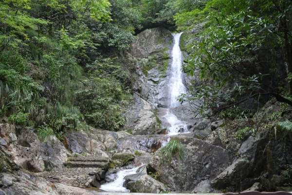 天目山景区2026门票价格、游玩攻略