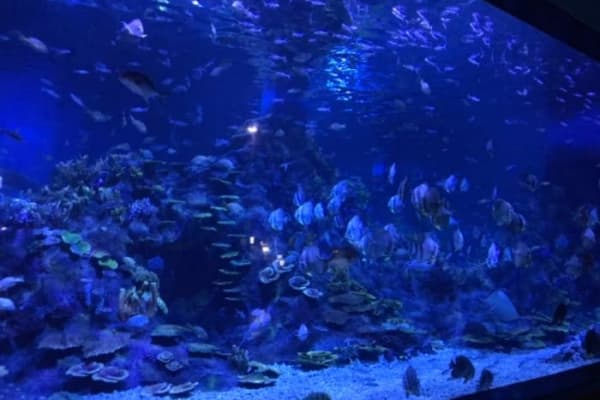 温州极地海洋世界2026门票价格、游玩攻略