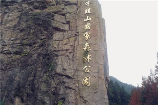牛头山国家森林公园2026门票价格、游玩攻略