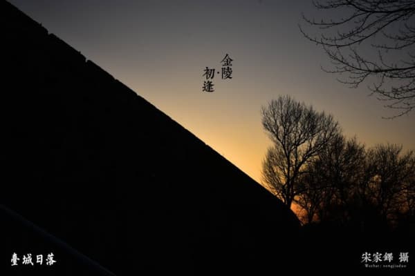 南京台城2026门票价格、游玩攻略