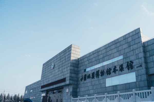 硅化木王国2026门票价格、游玩攻略