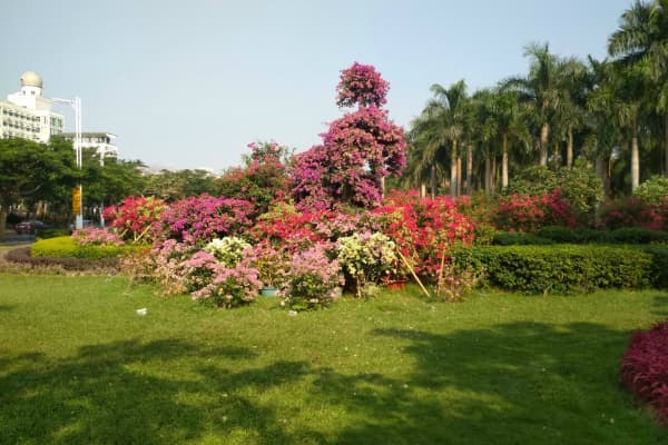 狐尾山公园2026门票价格、游玩攻略