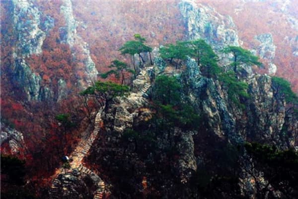 大连天门山国家森林公园2026门票价格、游玩攻略