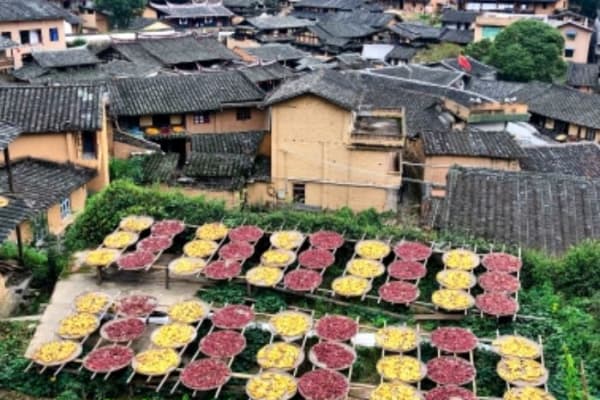 桂峰古村落景区2026门票价格、游玩攻略