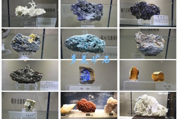 山西地质博物馆2026门票价格、游玩攻略