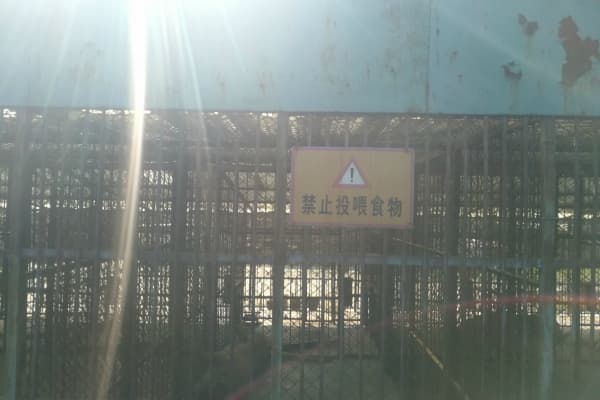 大连狮虎园2026门票价格、游玩攻略