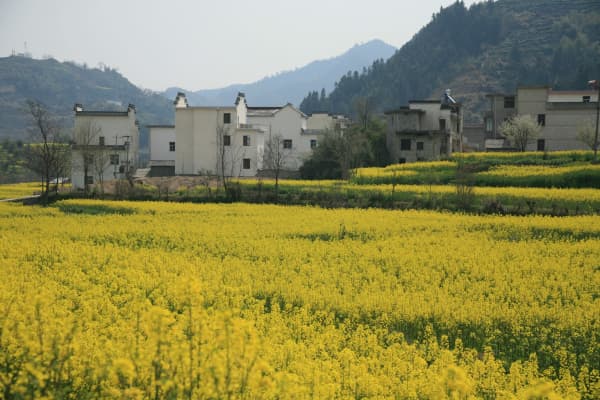 雄村景区2026门票价格、游玩攻略