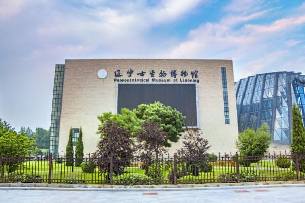 辽宁古生物博物馆2026门票价格、游玩攻略