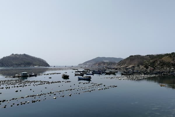小水口森林公园2026门票价格、游玩攻略
