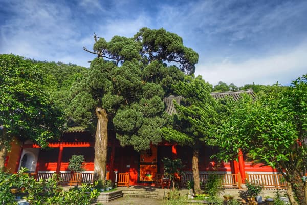 法雨寺2026门票价格、游玩攻略