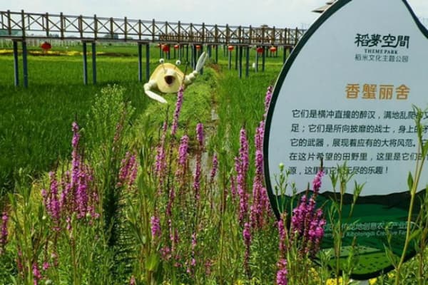 稻梦空间2026门票价格、游玩攻略