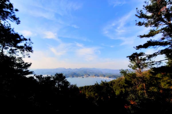 千岛湖天屿景区2026门票价格、游玩攻略