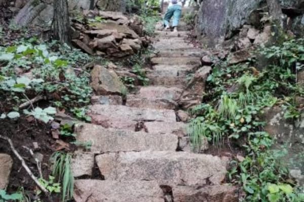 五龙山2026门票价格、游玩攻略
