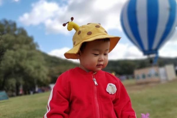 东北亚云端草原2026门票价格、游玩攻略